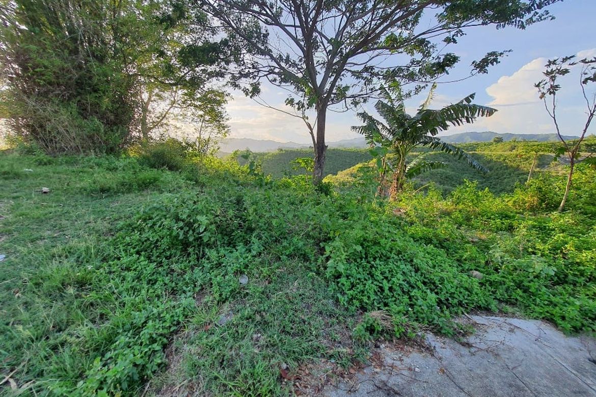 Land for Sale in Pulpogan, Consolacion, Cebu – photo 4