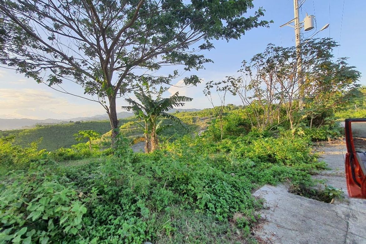 Land for Sale in Pulpogan, Consolacion, Cebu – photo 5