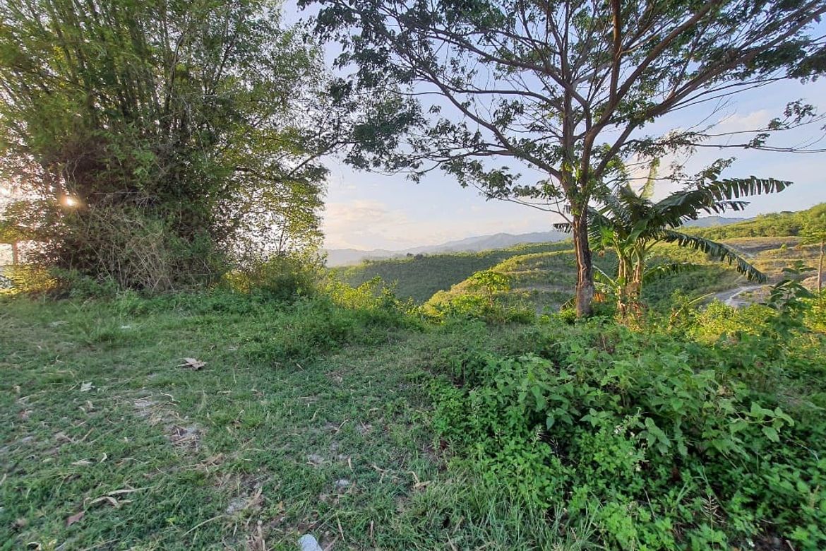 Land for Sale in Pulpogan, Consolacion, Cebu – photo 6