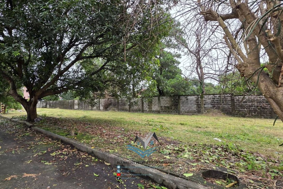 Land for Sale in Pulung Maragul, Angeles, Pampanga – photo 3