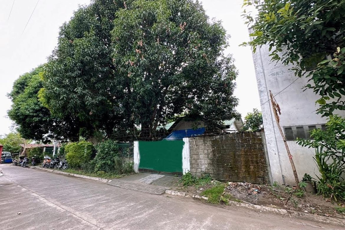 Land for Sale in Pulung Maragul, Angeles, Pampanga