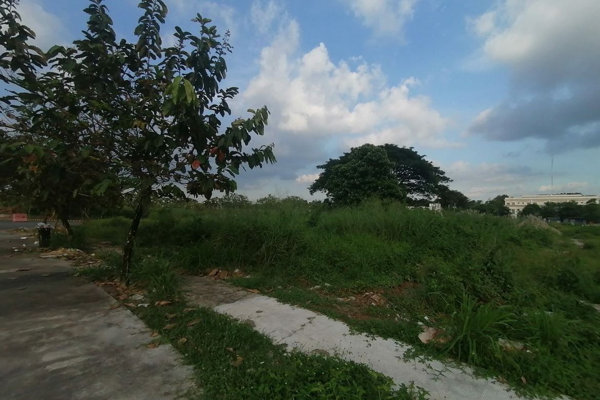 Land for Sale in Pulung Maragul, Angeles, Pampanga