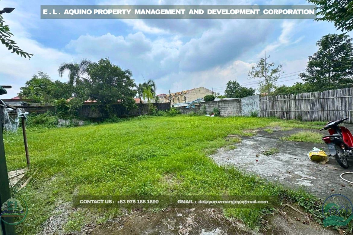 Land for Sale in Pulung Maragul, Angeles, Pampanga – photo 3