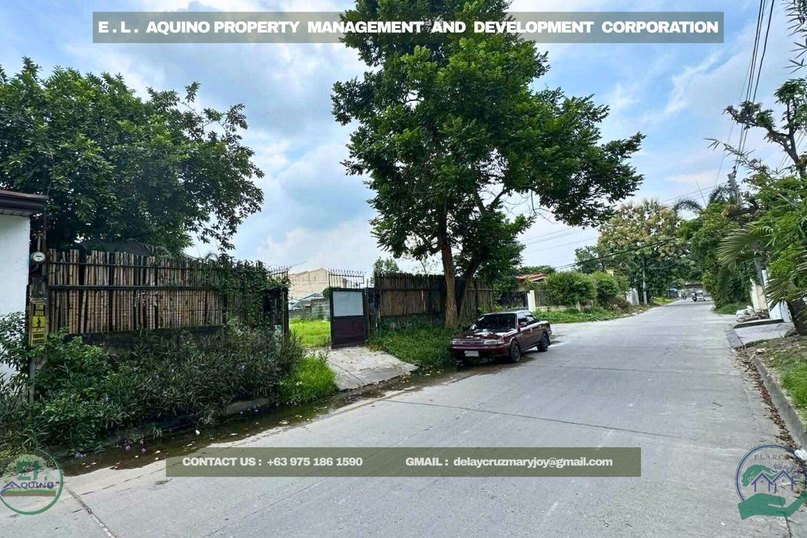 Land for Sale in Pulung Maragul, Angeles, Pampanga – photo 6