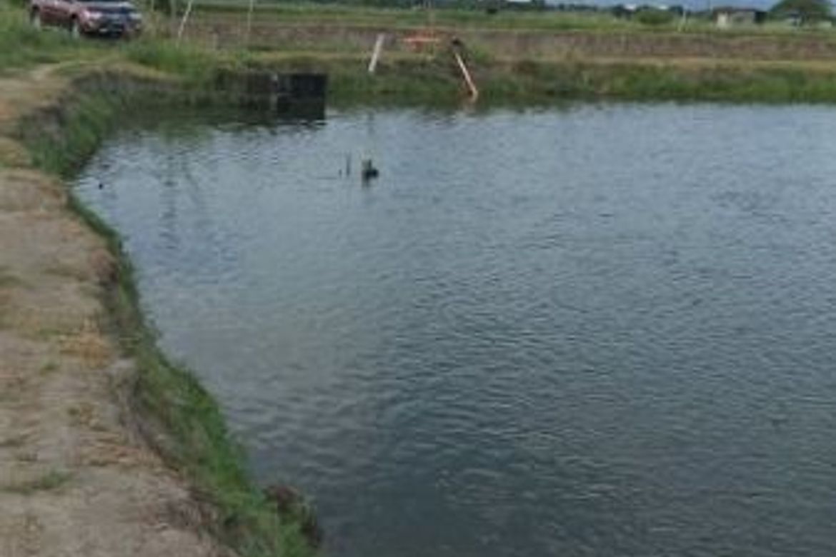 Land for Sale in Pulungmasle, Guagua, Pampanga
