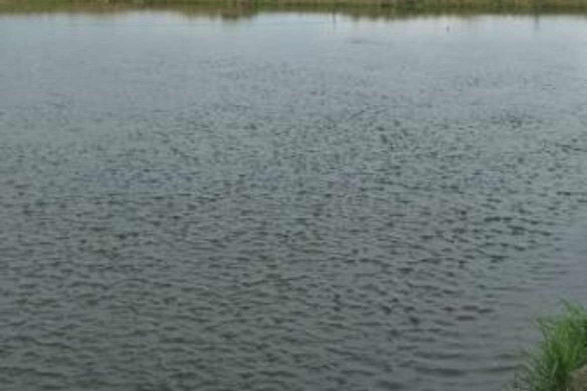 Land for Sale in Pulungmasle, Guagua, Pampanga – photo 4