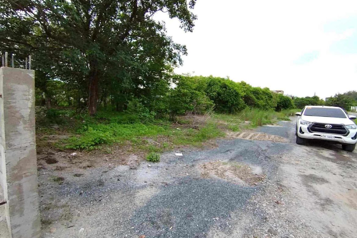 Land for Sale in Pundaquit, San Antonio, Zambales – photo 2