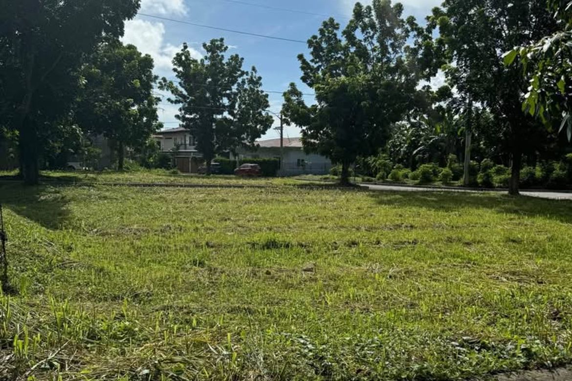 Land for Sale in Punta, Calamba, Laguna