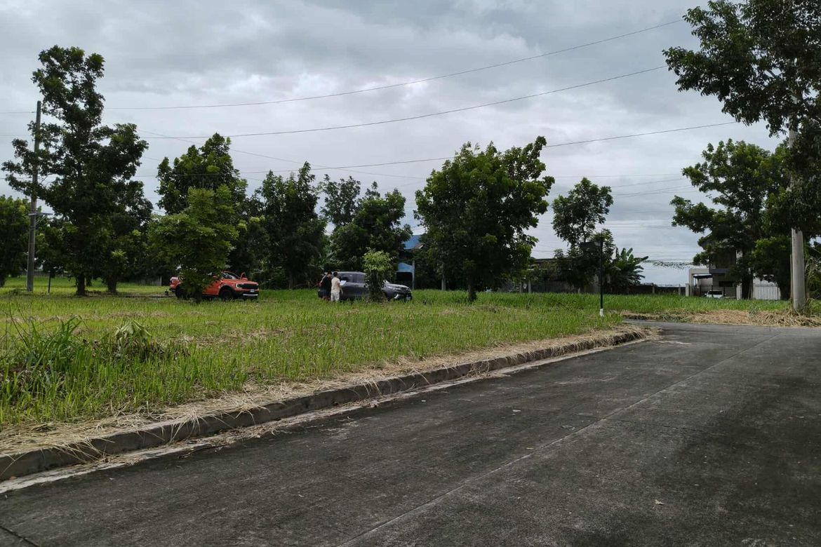 Land for Sale in Punta, Calamba, Laguna – photo 4