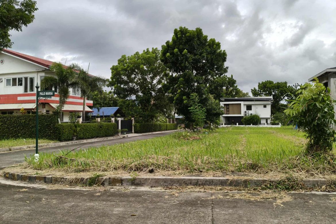 Land for Sale in Punta, Calamba, Laguna – photo 5