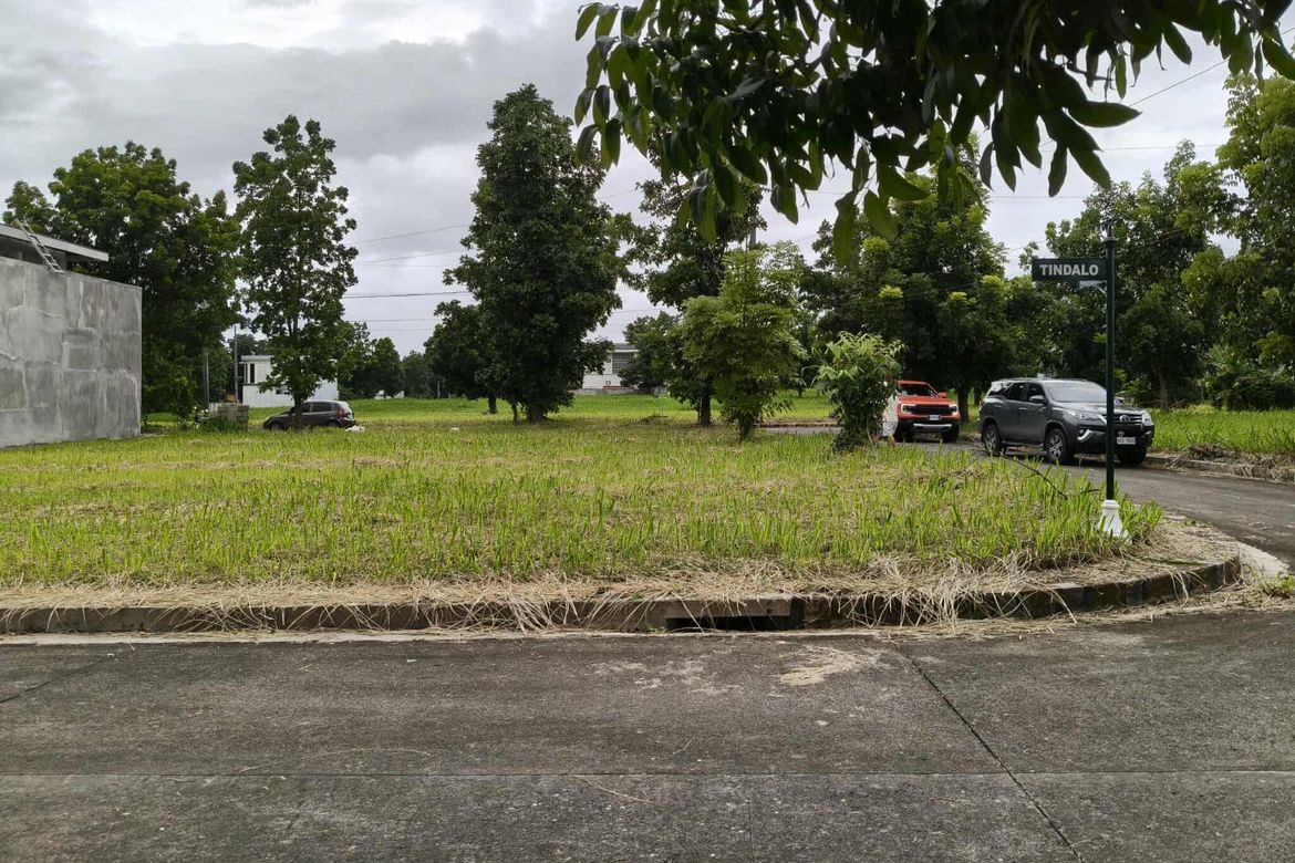 Land for Sale in Punta, Calamba, Laguna – photo 6