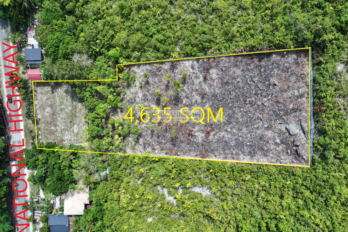 Land for Sale in Punta Cruz, Maribojoc, Bohol