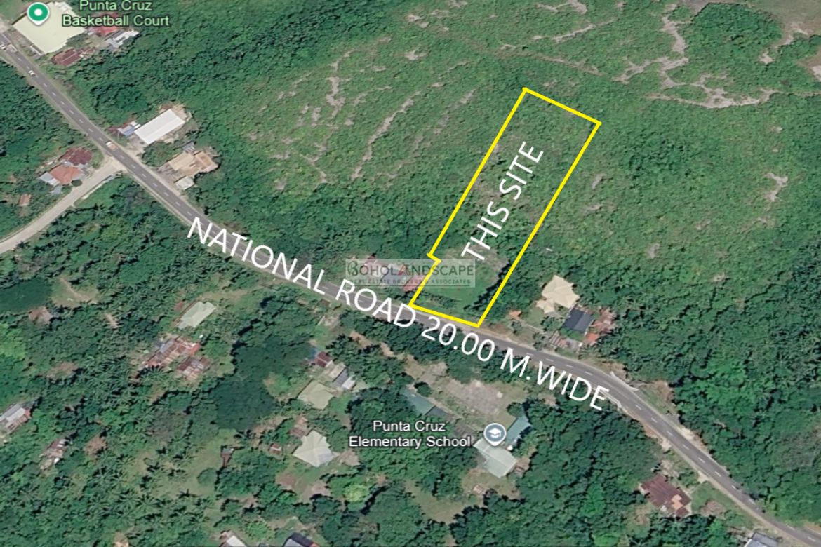 Land for Sale in Punta Cruz, Maribojoc, Bohol – photo 3