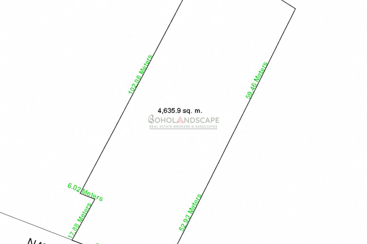 Land for Sale in Punta Cruz, Maribojoc, Bohol – photo 5