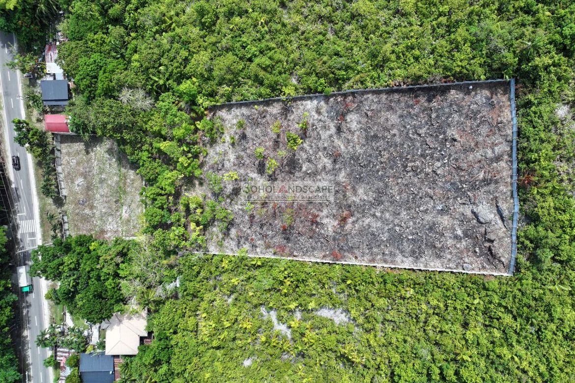 Land for Sale in Punta Cruz, Maribojoc, Bohol – photo 7