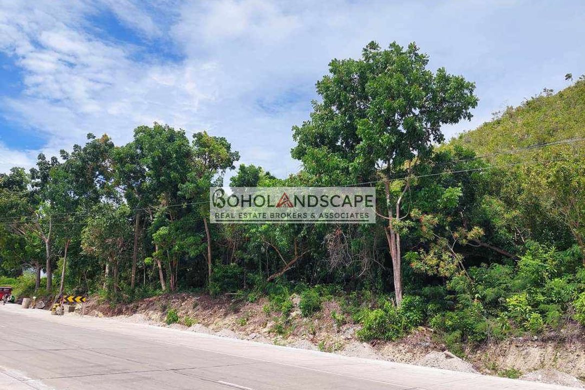 Land for Sale in Punta Cruz, Maribojoc, Bohol – photo 2
