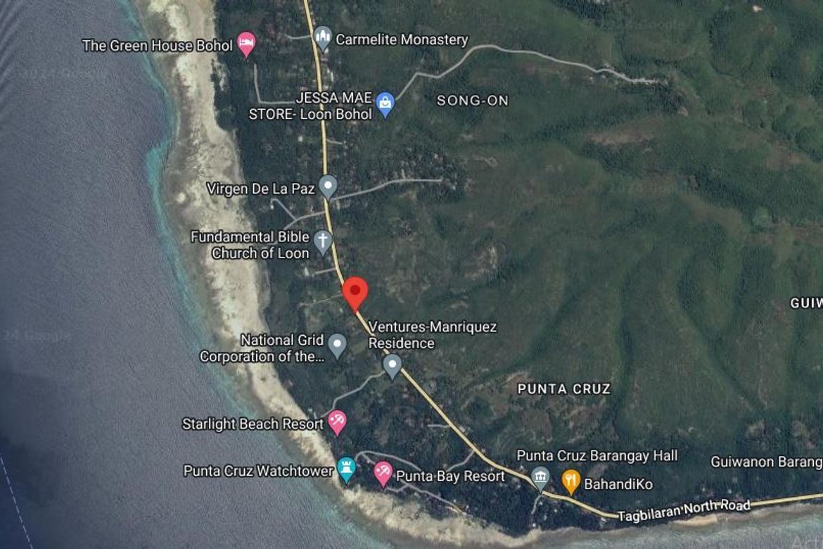 Land for Sale in Punta Cruz, Maribojoc, Bohol – photo 3