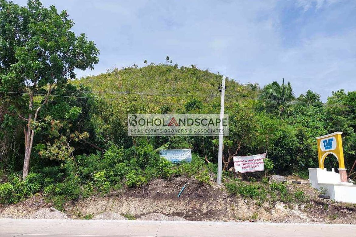 Land for Sale in Punta Cruz, Maribojoc, Bohol – photo 4