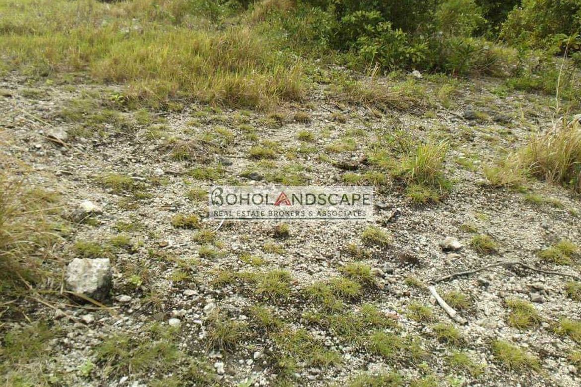 Land for Sale in Punta Cruz, Maribojoc, Bohol – photo 6