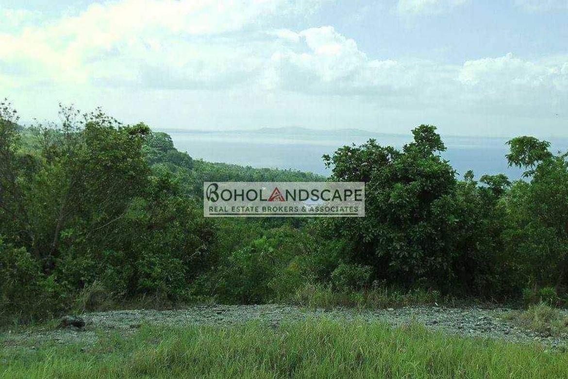 Land for Sale in Punta Cruz, Maribojoc, Bohol – photo 7