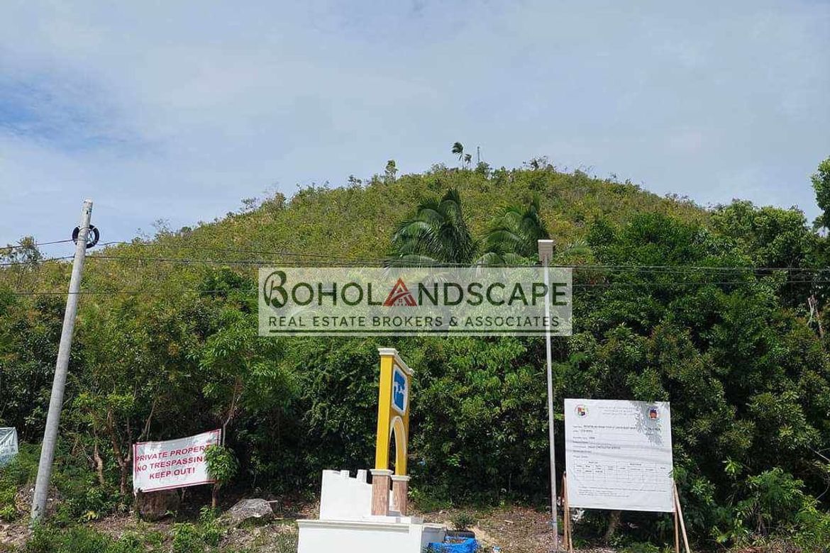 Land for Sale in Punta Cruz, Maribojoc, Bohol – photo 8