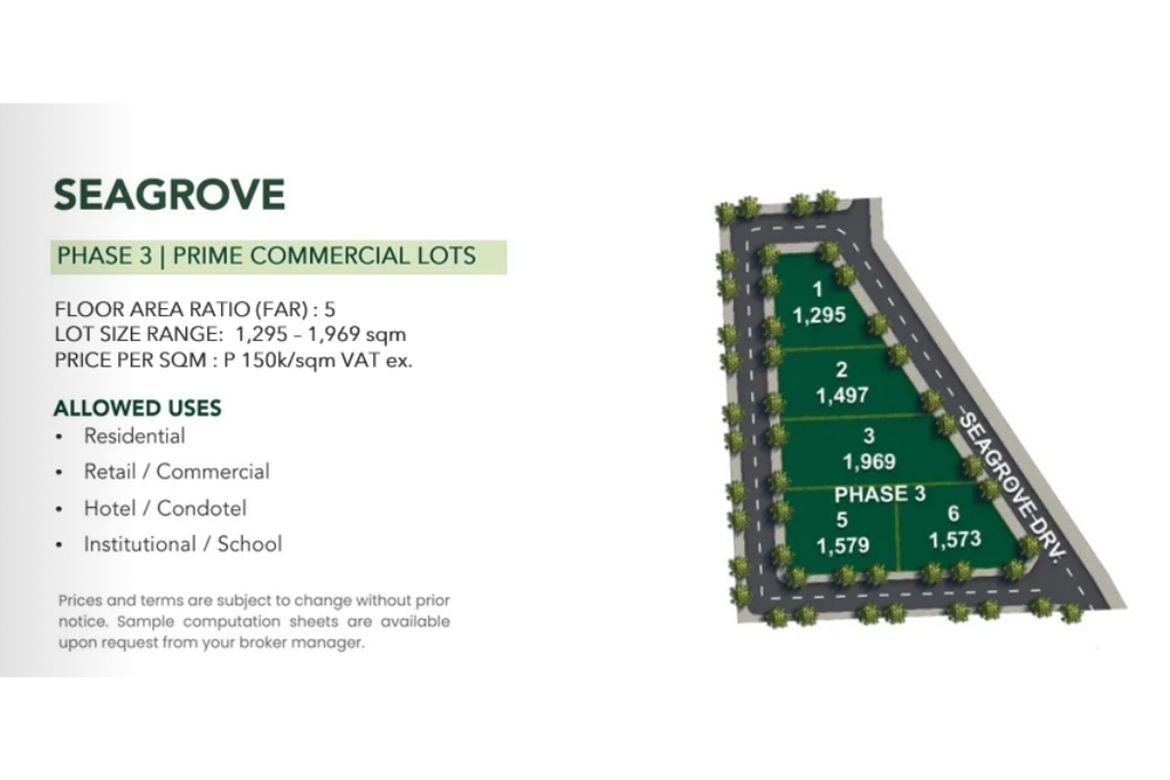 Land for Sale in Punta Engaño, Lapu-Lapu, Cebu – photo 3