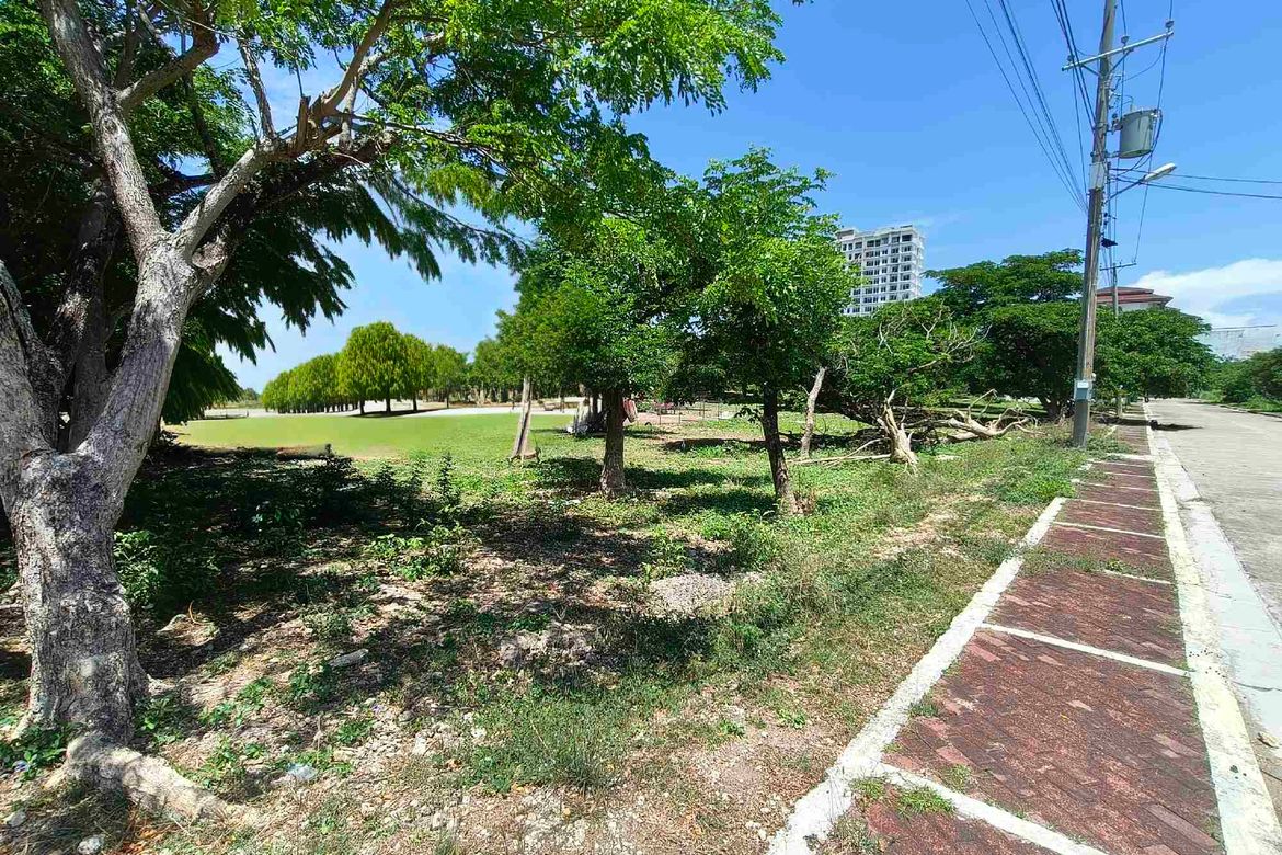 Land for Sale in Punta Engaño, Lapu-Lapu, Cebu – photo 3
