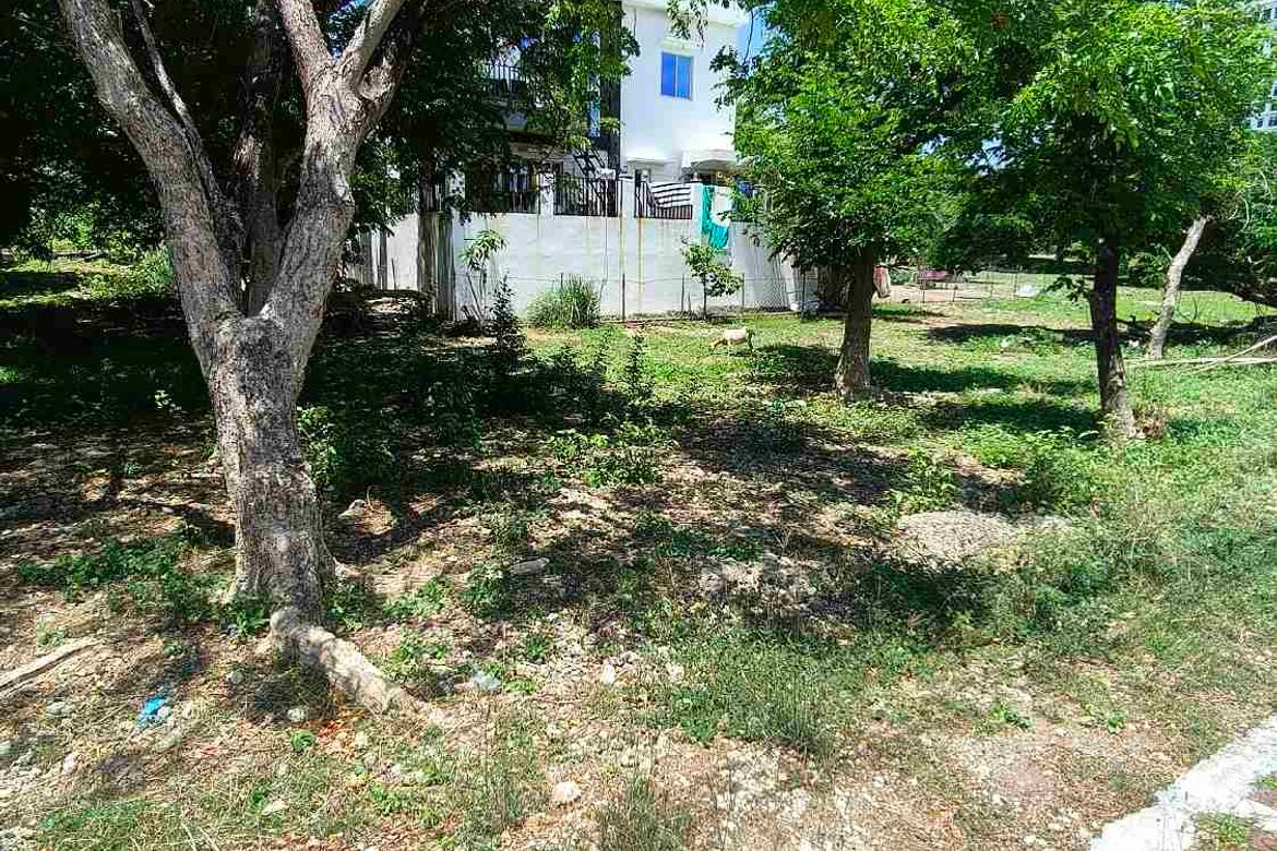 Land for Sale in Punta Engaño, Lapu-Lapu, Cebu – photo 4