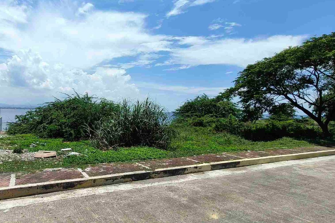 Land for Sale in Punta Engaño, Lapu-Lapu, Cebu – photo 6