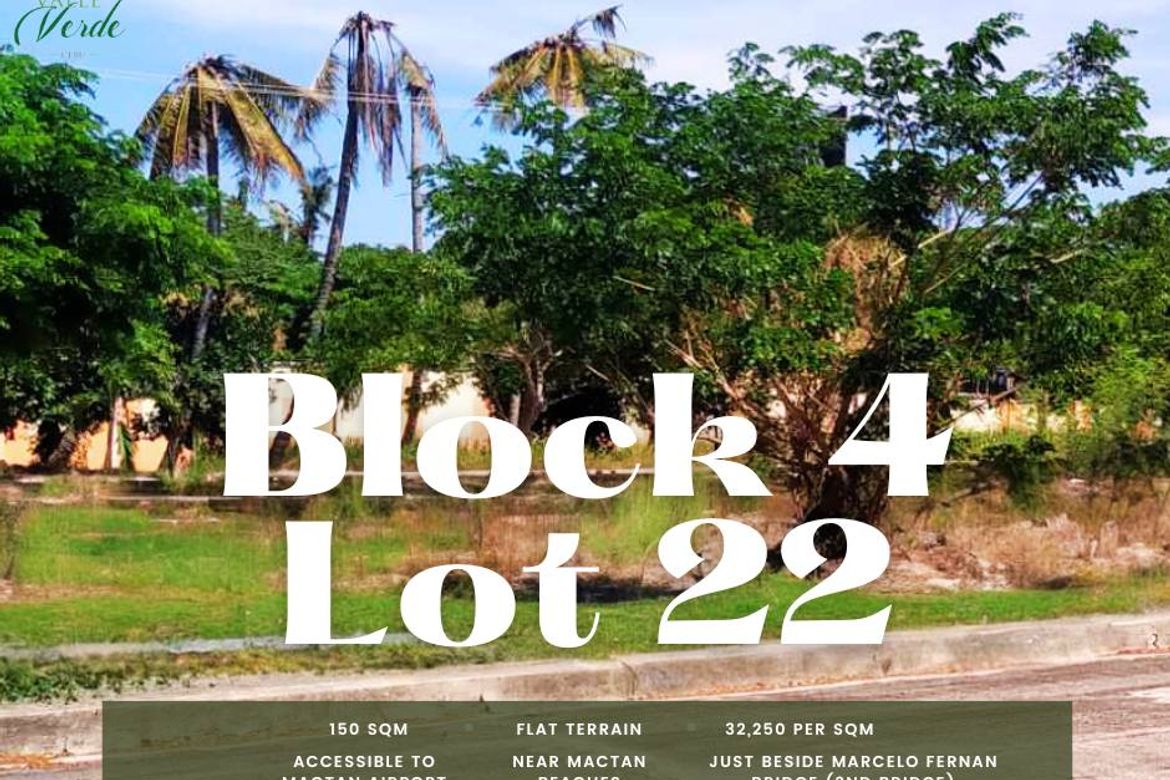 Land for Sale in Pusok, Lapu-Lapu, Cebu – photo 2