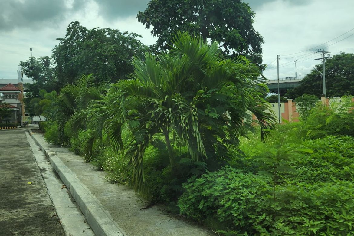 Land for Sale in Pusok, Lapu-Lapu, Cebu – photo 8