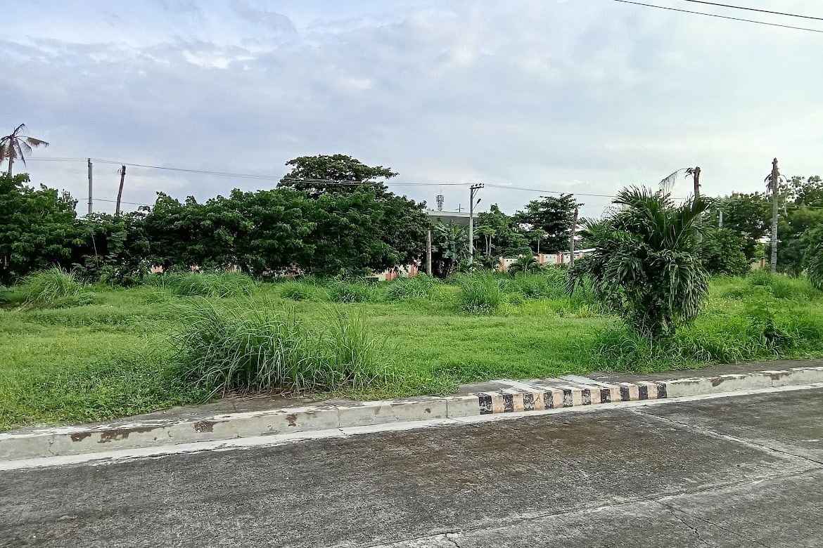 Land for Sale in Pusok, Lapu-Lapu, Cebu – photo 3