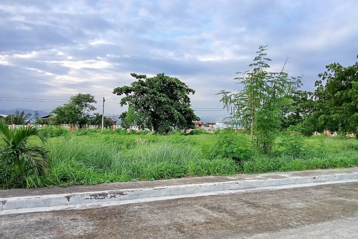 Land for Sale in Pusok, Lapu-Lapu, Cebu – photo 7
