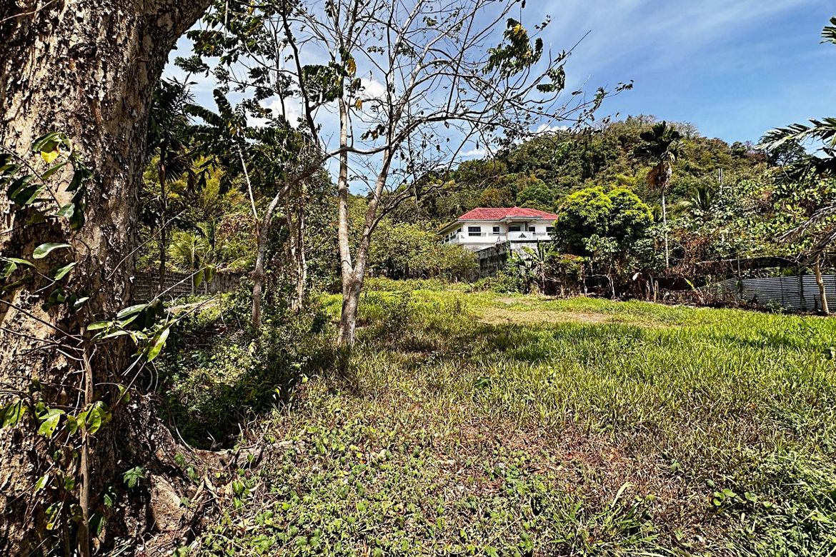 Land for Sale in Putho Tuntungin, Los Baños, Laguna