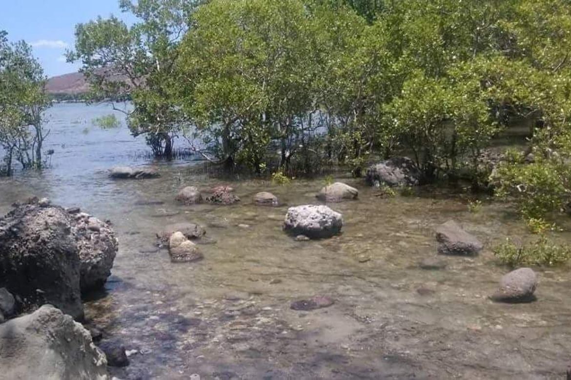 Land for Sale in Puting-Kahoy, Lian, Batangas