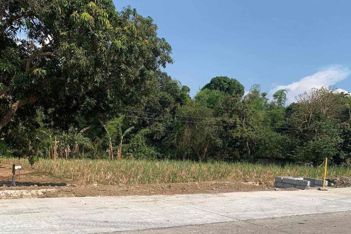 Land for Sale in Puting-Kahoy, Lian, Batangas – photo 3