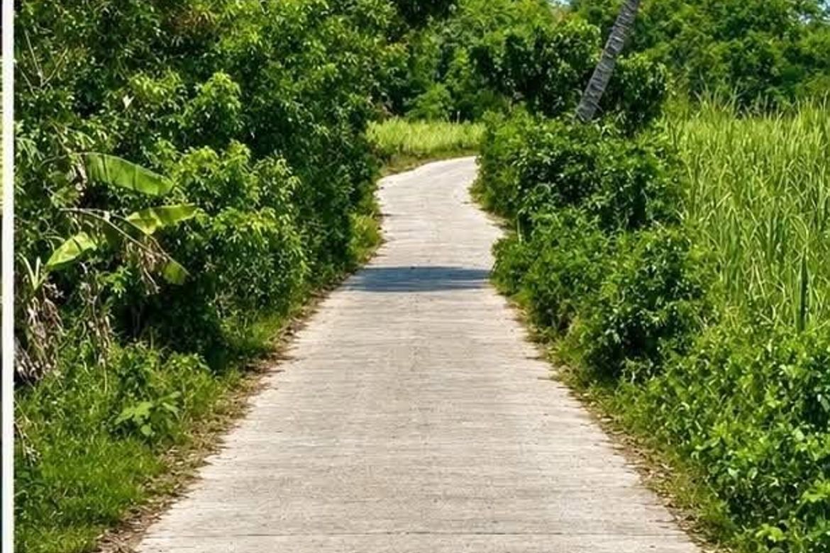 Land for Sale in Puting-Kahoy, Lian, Batangas – photo 3