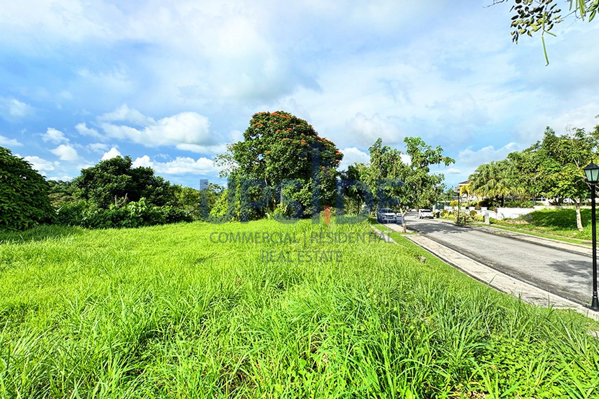 Land for Sale in Puting Kahoy, Silang, Cavite – photo 5