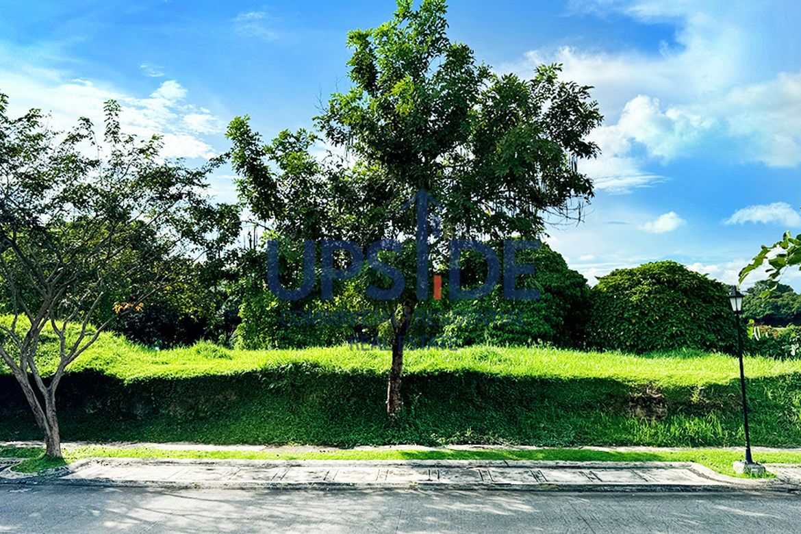 Land for Sale in Puting Kahoy, Silang, Cavite – photo 7