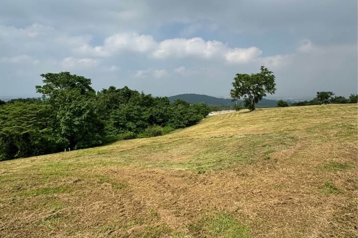 Land for Sale in Puting Lupa, Calamba, Laguna – photo 4
