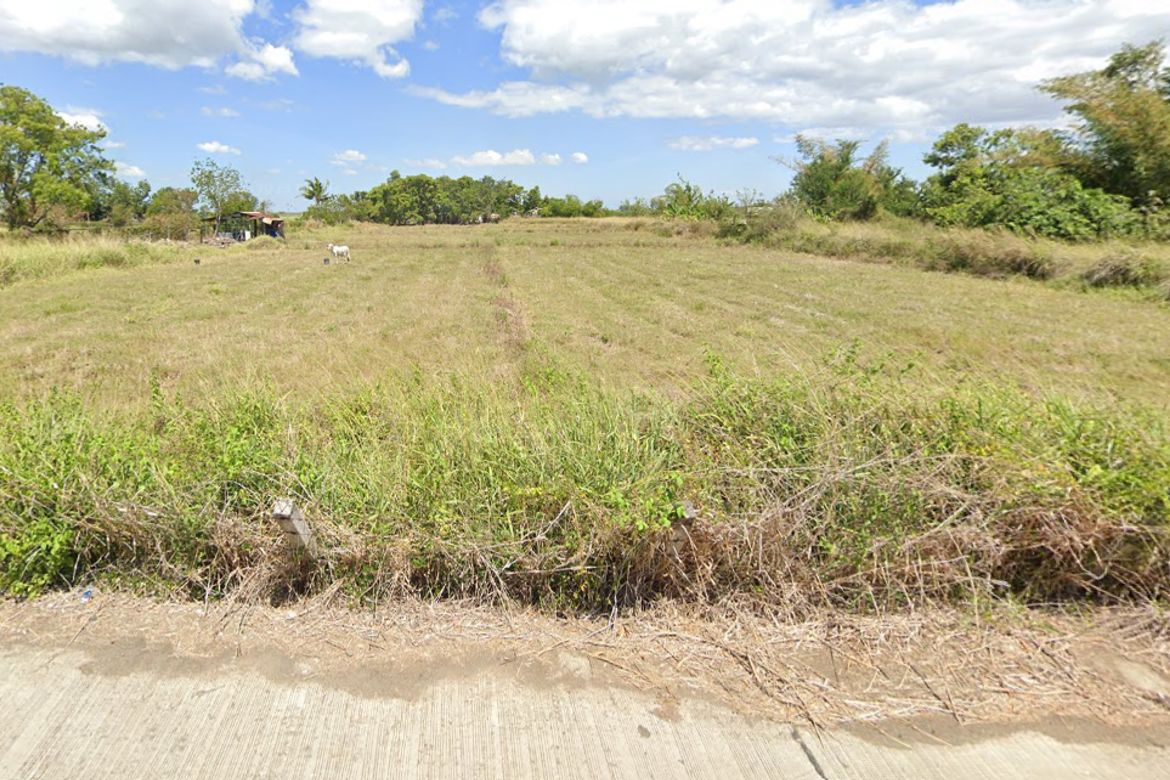 Land for Sale in Puting Tubig, Gapan, Nueva Ecija