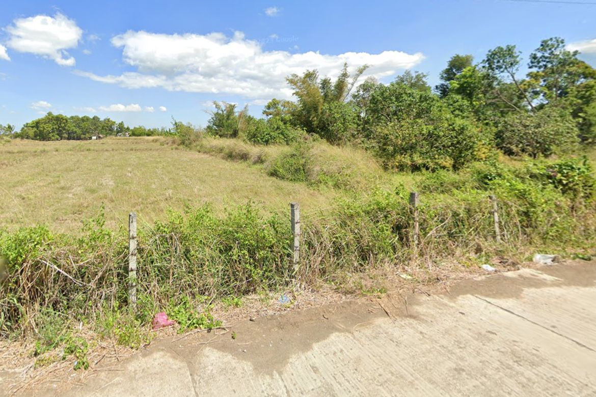 Land for Sale in Puting Tubig, Gapan, Nueva Ecija