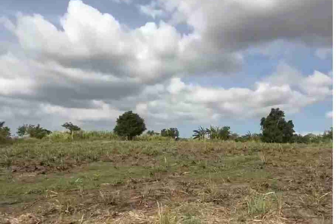 Land for Sale in Putol, Tuy, Batangas – photo 3