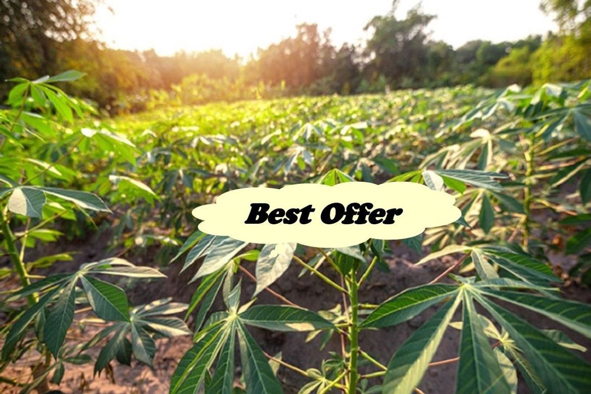 Land for Sale in Putol, Tuy, Batangas