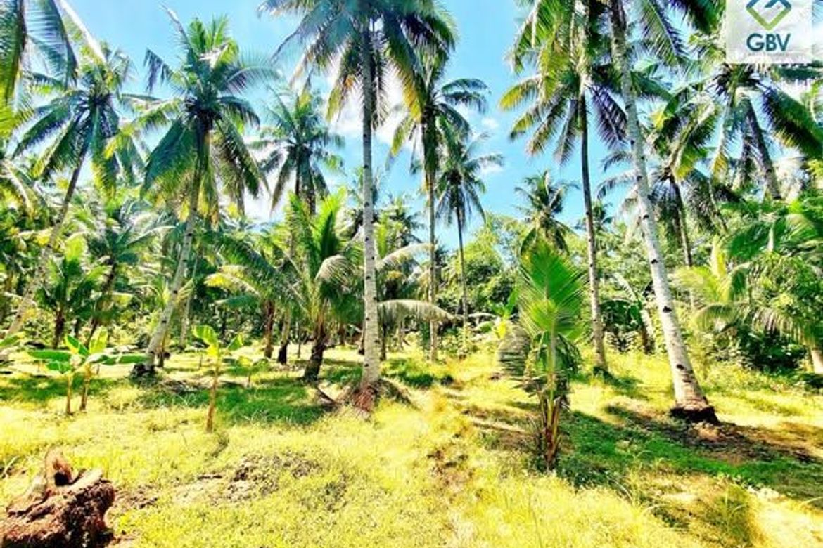 Land for Sale in Quezon, Panabo, Davao del Norte