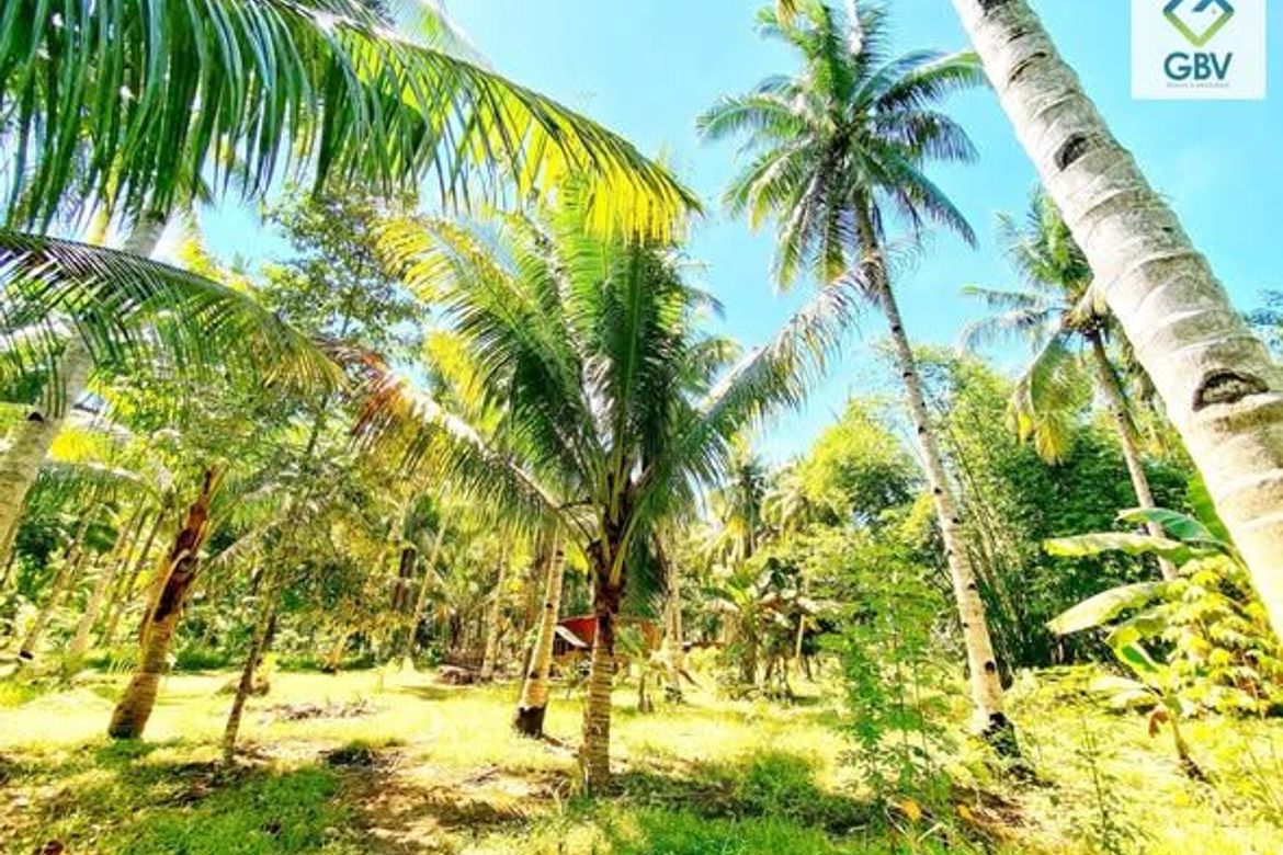 Land for Sale in Quezon, Panabo, Davao del Norte – photo 2