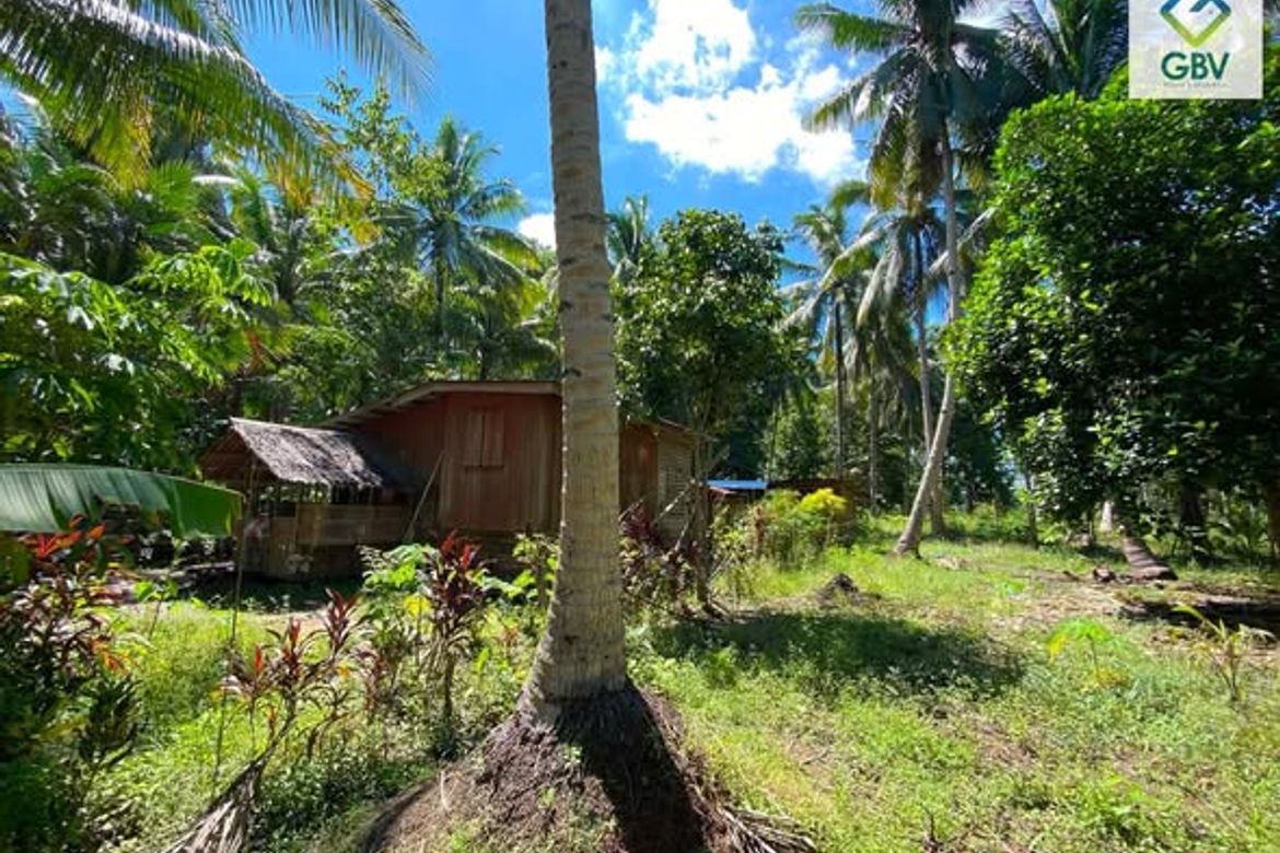 Land for Sale in Quezon, Panabo, Davao del Norte – photo 3
