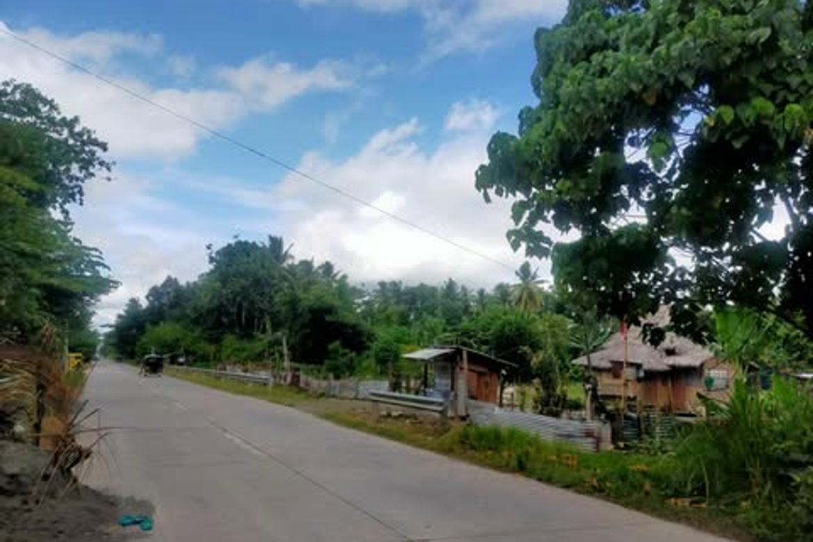 Land for Sale in Quezon, Panabo, Davao del Norte – photo 2
