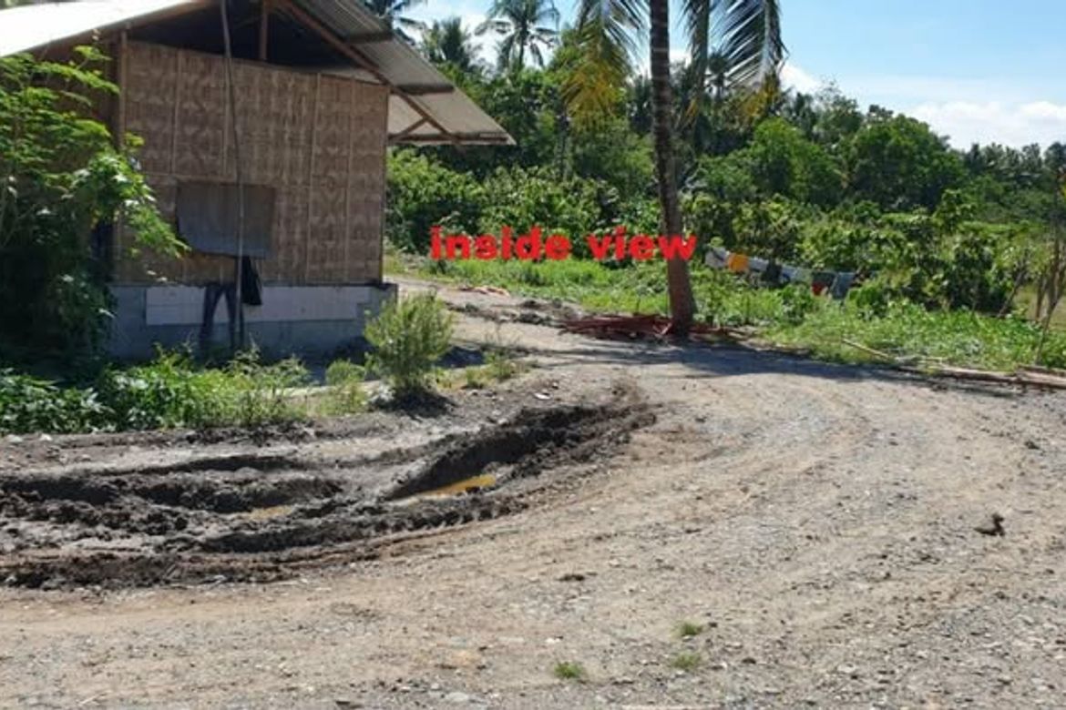 Land for Sale in Quezon, Panabo, Davao del Norte – photo 3