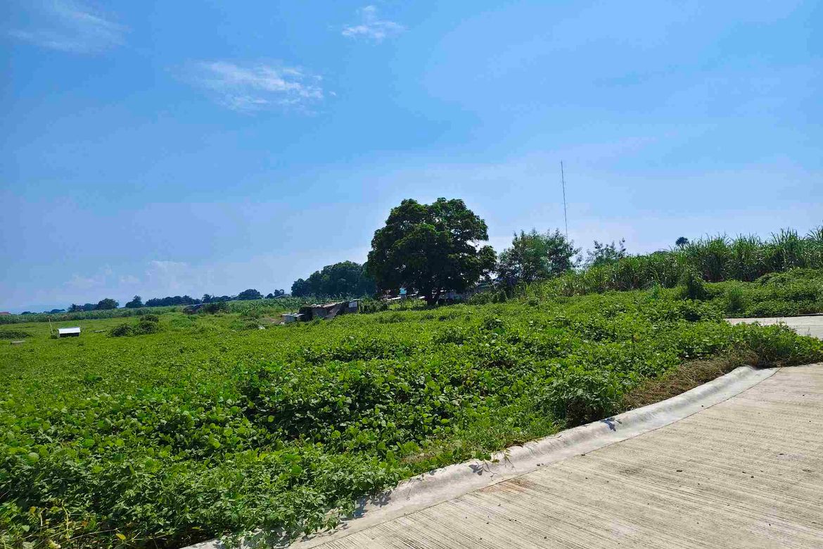 Land for Sale in Quilitisan, Calatagan, Batangas – photo 5